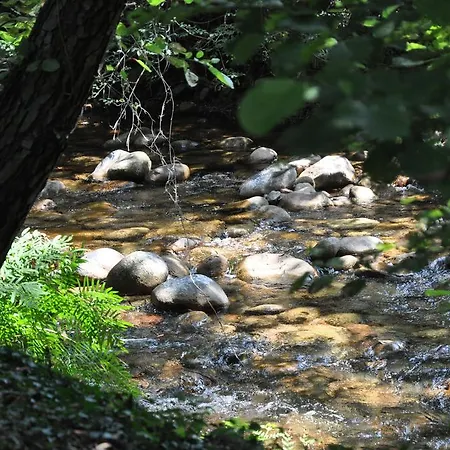 La Riviere ホテル 3*